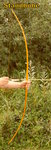 Osage 2 Standhöhe.jpg