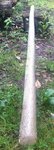 image-499.jpeg