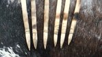 Praehistoric Art-Work 2012-09-10 022.JPG