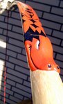 BILD06871.JPG