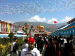 IMG_1713.jpg