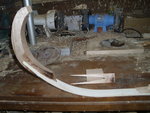 DSCI1354.JPG
