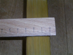 R6005240.JPG