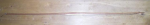 R6005244.JPG