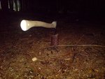 DSC04926.JPG