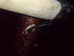 DSC04927.JPG