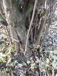 DSCF4228.JPG