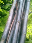 Bild0363.jpg
