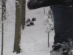 IMG_0183.jpg