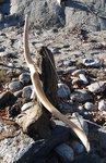 IceAge_10.jpg