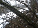 Nr:2 vorne oben vor dem schneiden