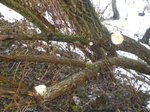 Hier die Schnittstellen beider Rohlinge