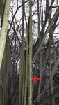 K640_K800_DSCF0879.JPG