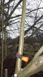 K640_K800_DSCF0891.JPG