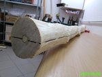 gepellt und fertig zur Zweiteilung