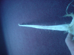 DSC00032.JPG