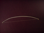 DSC00034.JPG
