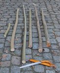 Holzernte3.jpg
