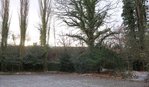 Holzhabitat1.jpg