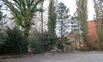 Holzhabitat2.jpg