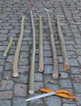 Ahorn-Holzernte.jpg