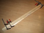 Bogenbauer-Meinungsverstärker