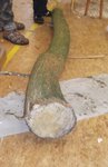 DSCF4573.JPG