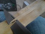 DSC05379.JPG