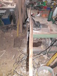 DSCI0830.JPG