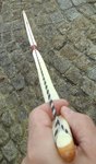 Bauchseite