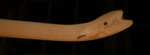 P1100761nock.ob..jpg (38.69 KiB) 14930 mal betrachtet Ast-Nock oben