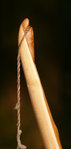 bloody mary fliedernock.sonne.jpg (99.92 KiB) 14930 mal betrachtet Flieder- Overlay untere Nock