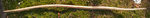 bloody mary bauch.jpg (106.02 KiB) 14930 mal betrachtet Bauch