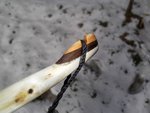 Esche_Sapling012.jpg (96.99 KiB) 14913 mal betrachtet Tips