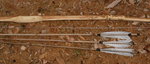 Mr.Pipe.griff.JPG (156.49 KiB) 14714 mal betrachtet Griff und Knubbels im oberen Wurfarm, geschnitzte Oberfläche