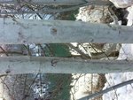 rps20130301_083527.jpg
