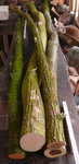 4x holz.2.JPG