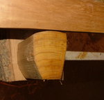 oswar1 (1).jpg
