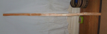 BILD0458.JPG
