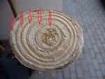 Ulmenkäfer 2013-03-02 005.JPG (227.94 KiB) 12621 mal betrachtet Hier sieht man, dass der Pilz überwiegend das Frühholz angreift.