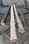 DSCF5925.jpg