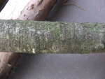 DSCF5933.jpg