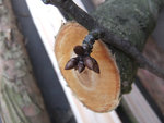 DSCF5932.jpg