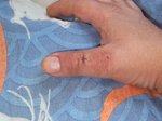 DSCF4876.JPG (127.71 KiB) 3573 mal betrachtet Nochmal die direkte Draufsicht<br />ohne Markierungen...