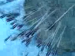 MOV00010.jpg