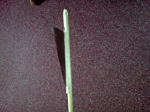 DSC00025.JPG