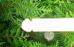 Tip Detailbild.png
