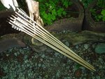 DSC05385.JPG