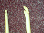 DSC00039.JPG