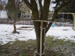 felsenschlange r.JPG